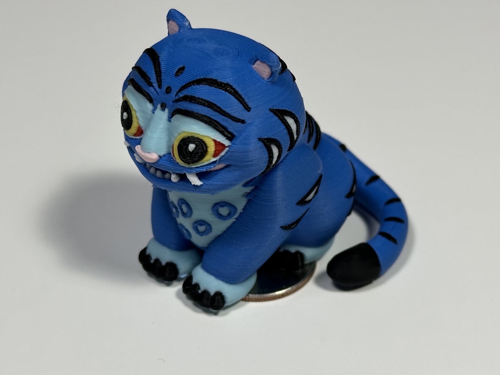 IMG_5729