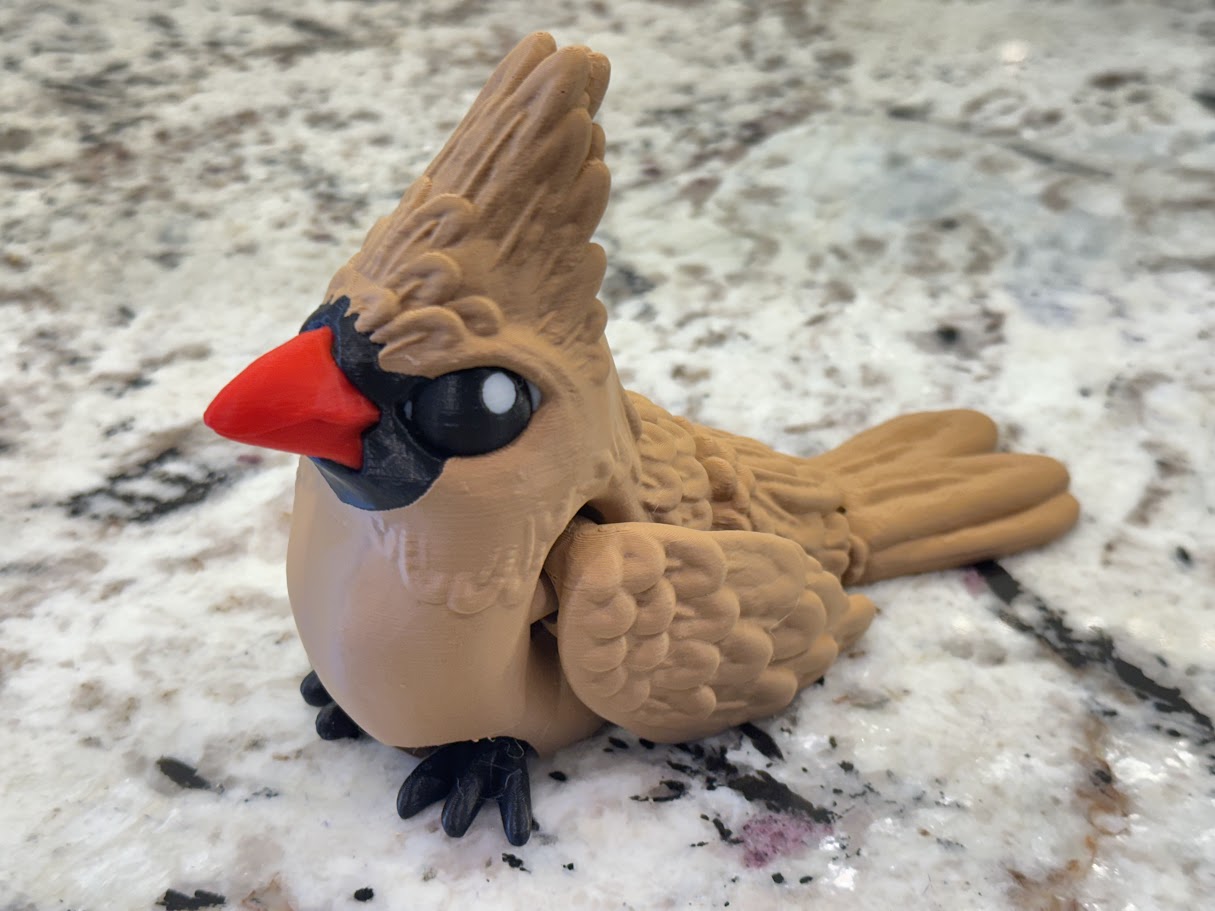 IMG_6111